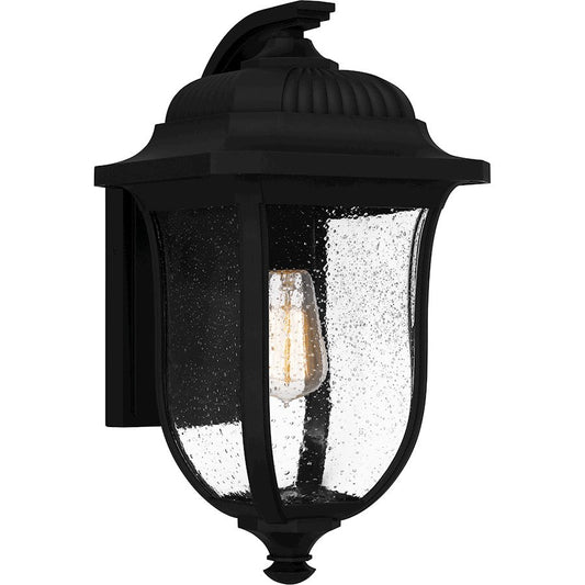 Mulberry 1 Light Outdoor Lantern, Black/Clear Seedy