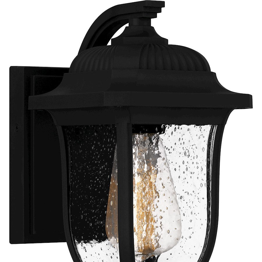 Mulberry 1 Light Outdoor Lantern, Black/Clear Seedy