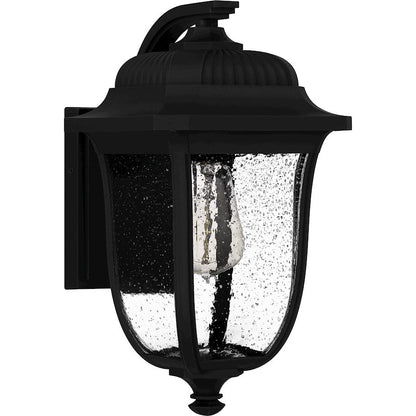 Mulberry 1 Light Outdoor Lantern, Black/Clear Seedy