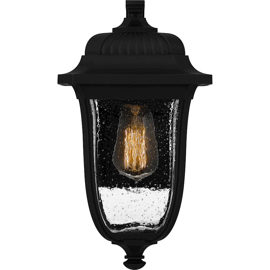 Mulberry 1 Light Outdoor Lantern, Black/Clear Seedy