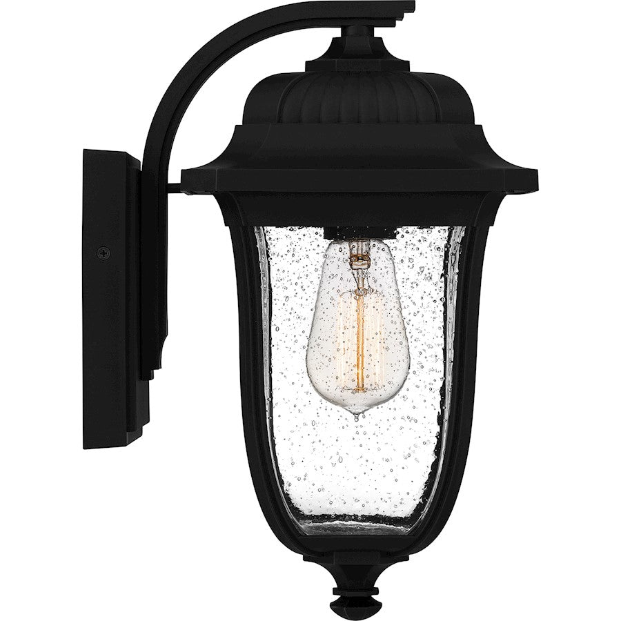 Mulberry 1 Light Outdoor Lantern, Black/Clear Seedy