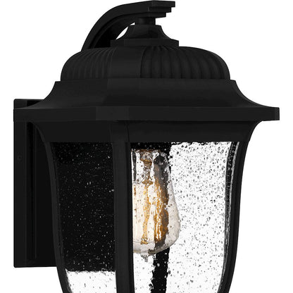 Mulberry 1 Light Outdoor Lantern, Black/Clear Seedy