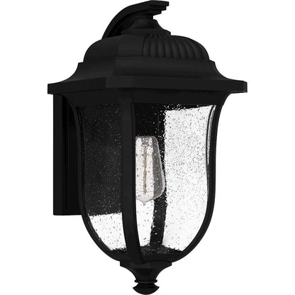 Mulberry 1 Light Outdoor Lantern, Black/Clear Seedy