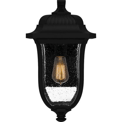 Mulberry 1 Light Outdoor Lantern, Black/Clear Seedy