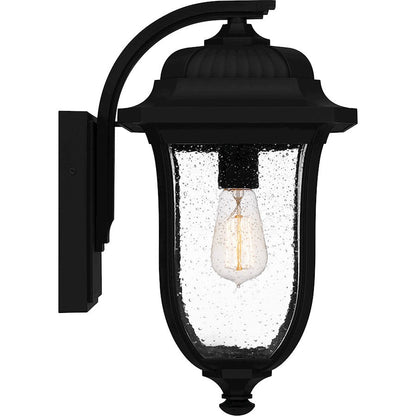 Mulberry 1 Light Outdoor Lantern, Black/Clear Seedy