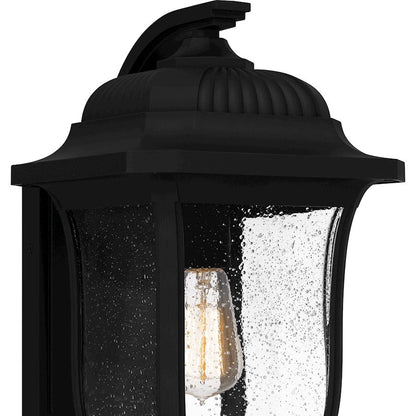 Mulberry 1 Light Outdoor Lantern, Black/Clear Seedy