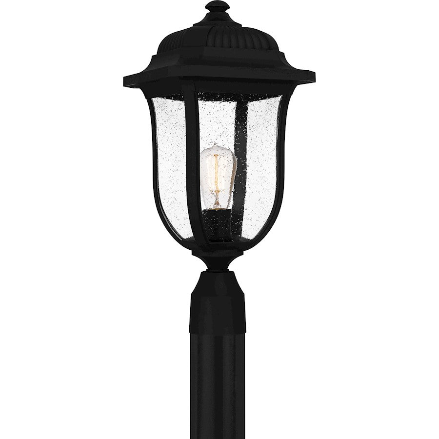 Mulberry 1 Light 20" Outdoor Lantern, Black/Clear Seedy