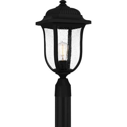 Mulberry 1 Light 20" Outdoor Lantern, Black/Clear Seedy