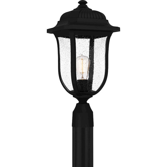 Mulberry 1 Light 20" Outdoor Lantern, Black/Clear Seedy