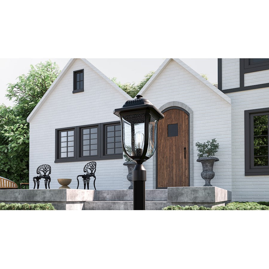 Mulberry 1 Light 20" Outdoor Lantern, Black/Clear Seedy