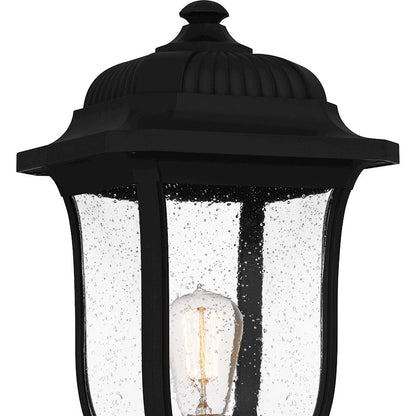 Mulberry 1 Light 20" Outdoor Lantern, Black/Clear Seedy