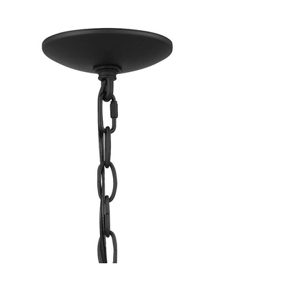 O'Leary 1 Light Mini Pendant, Earth Black/Clear