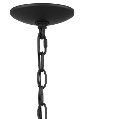 O'Leary 1 Light Outdoor Hanging Lantern, Earth Black