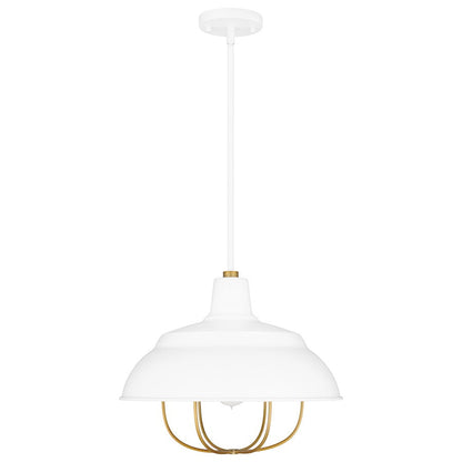 Darmody 1 Light Pendant, Metal Shade