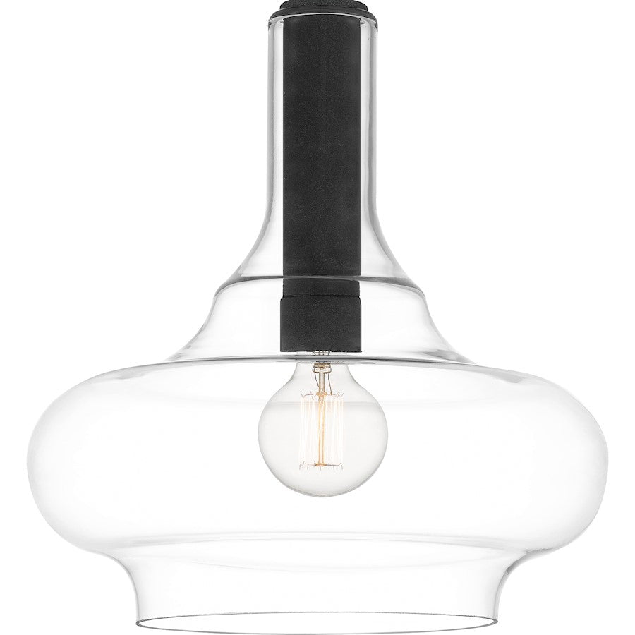 Beachmont 1 Light Pendant, Mottled Black/Clear