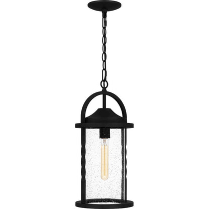 Reece 1 Light 19" Outdoor Lantern, Earth Black/Clear Seedy