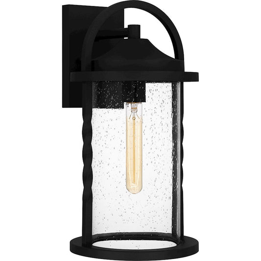 Reece 1 Light Outdoor Lantern, Earth Black/Clear Seedy