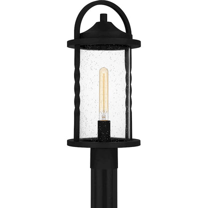 Reece 1 Light 20" Outdoor Lantern, Earth Black/Clear Seedy