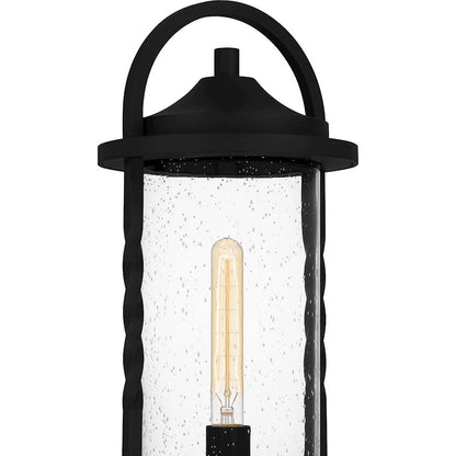Reece 1 Light 20" Outdoor Lantern, Earth Black/Clear Seedy