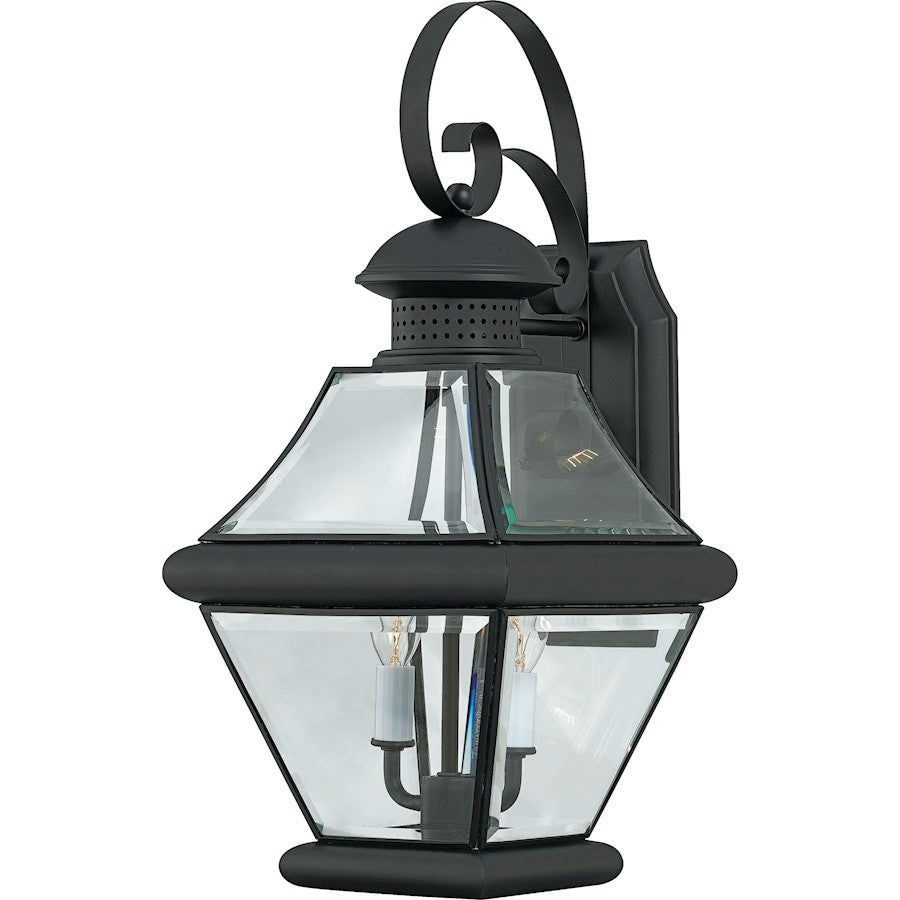 1 Light Rutledge Outdoor Wall Lantern, Mystic Black