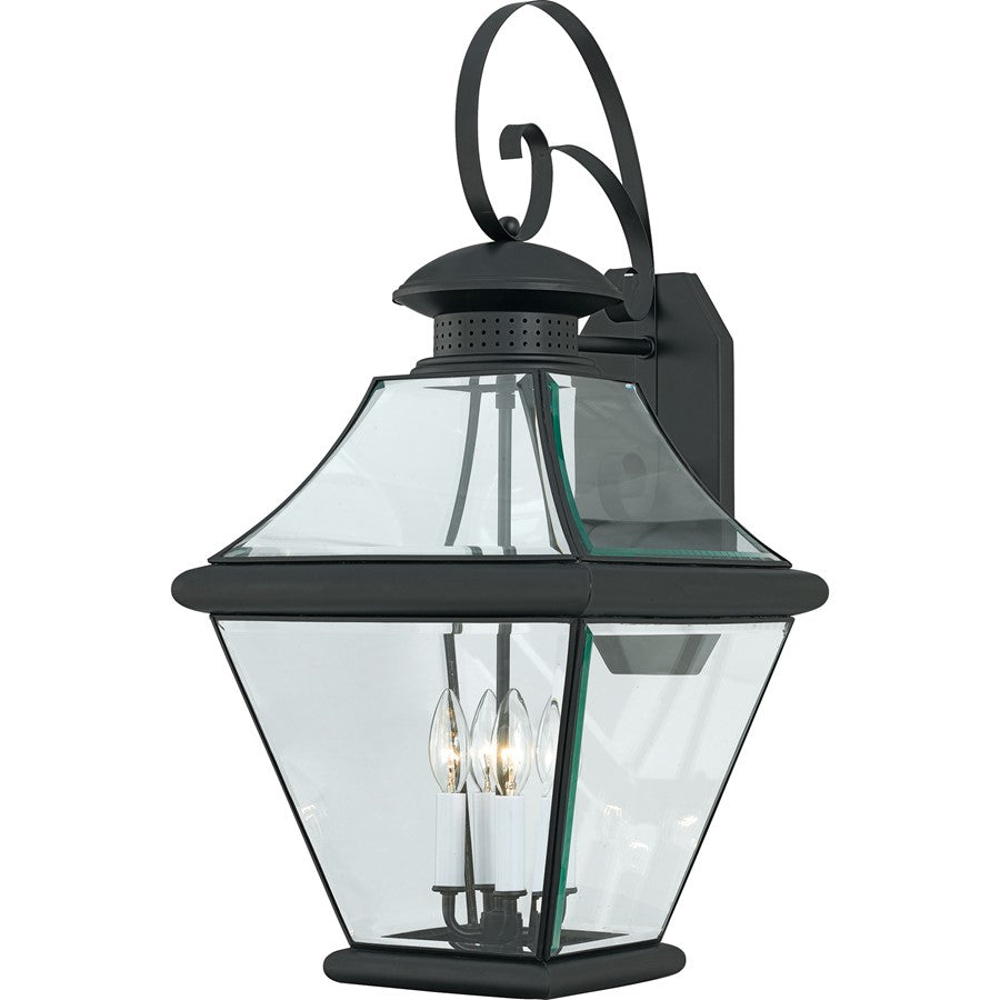 1 Light Rutledge Outdoor Wall Lantern, Mystic Black