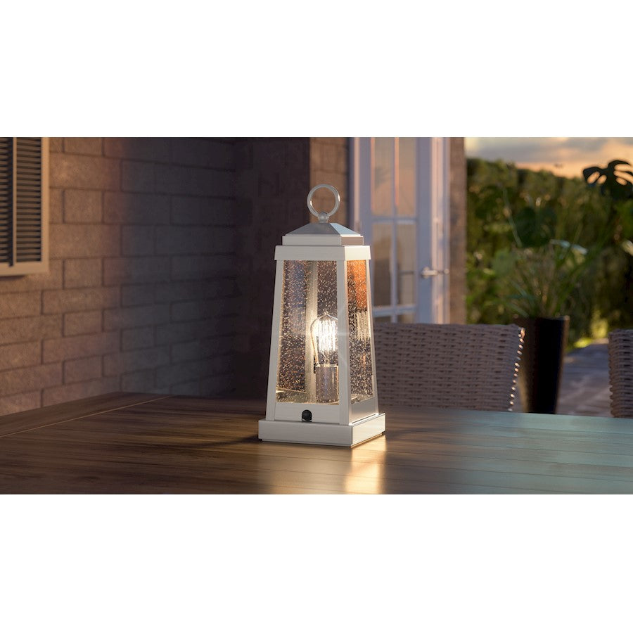 Ravenel 1 Light Table Lamp, Clear Seeded