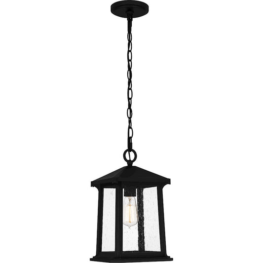 Satterfield 1 Light 15" Outdoor Lantern, Black/Clear Seedy