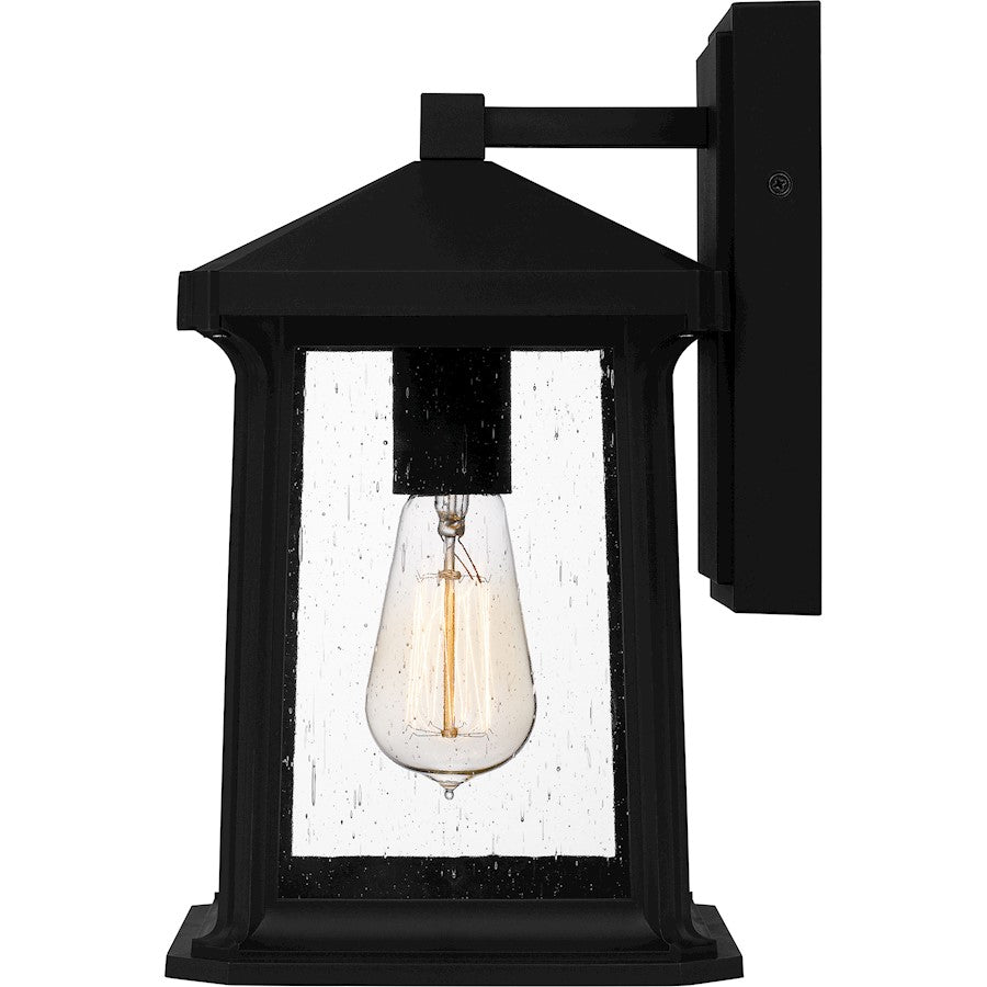 Satterfield 1 Light Outdoor Lantern, Black/Clear Seedy