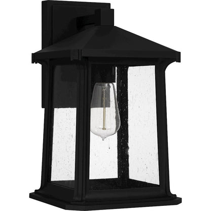 Satterfield 1 Light Outdoor Lantern, Black/Clear Seedy