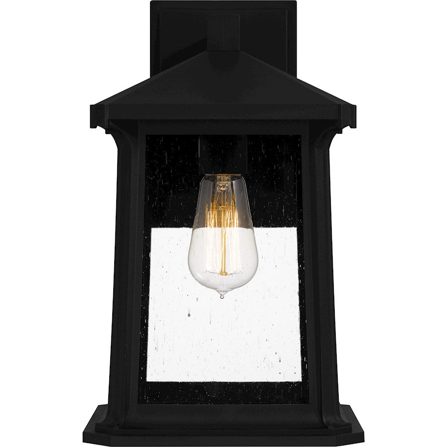 Satterfield 1 Light Outdoor Lantern, Black/Clear Seedy