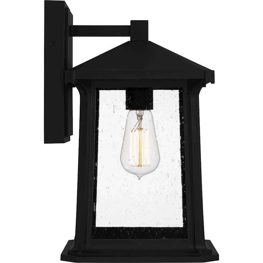 Satterfield 1 Light Outdoor Lantern, Black/Clear Seedy