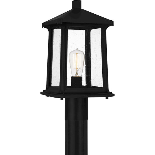 Satterfield 1 Light 17" Outdoor Lantern, Black/Clear Seedy