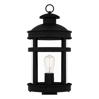 Scout 1 Light 20" Outdoor Lantern, Matte Black/Clear
