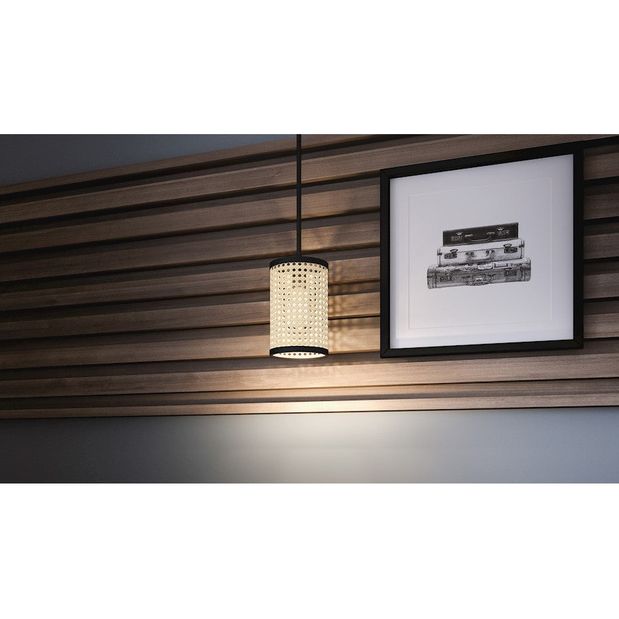 Syrah 1 Light Mini Pendant