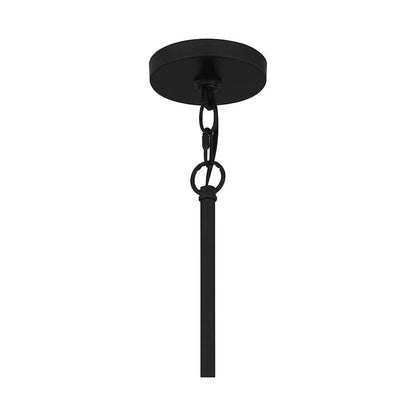 Caledonia 1 Light Mini Pendant, Matte Black