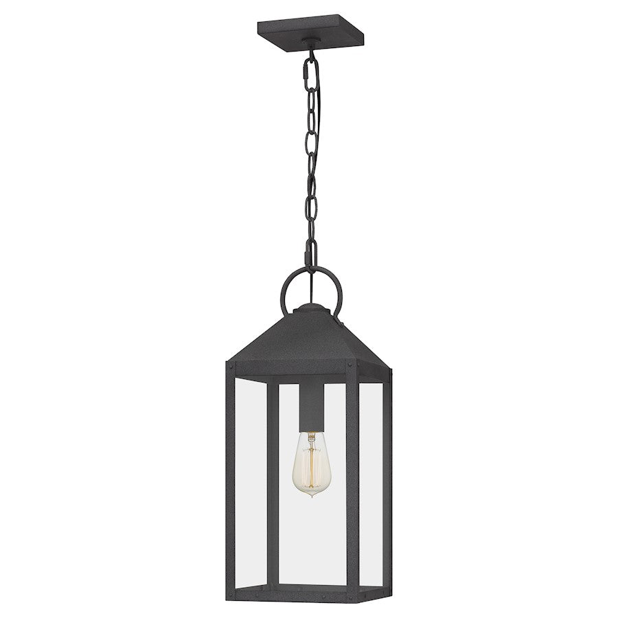 Thorpe 1 Light Mini Pendant, Mottled Black/Clear Tempered