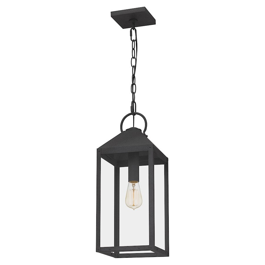 Thorpe 1 Light Mini Pendant, Mottled Black/Clear Tempered