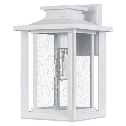 Wakefield 1 Light Outdoor Wall Lantern, White Lustre