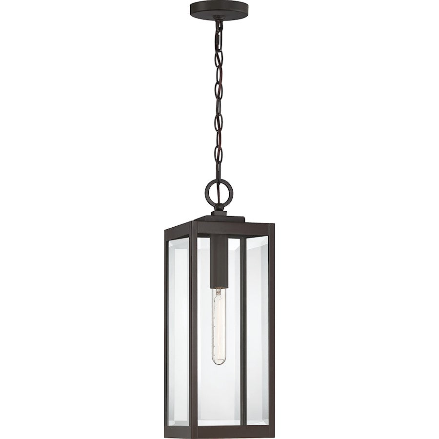 Westover 1 Light Mini Pendant, Clear Seeded