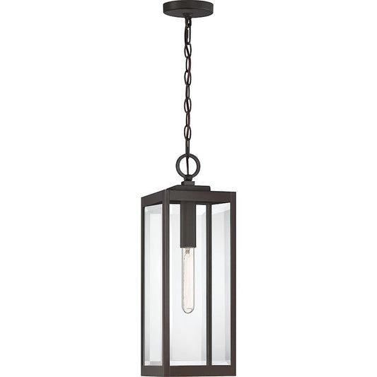 Westover 1 Light Mini Pendant, Clear Seeded