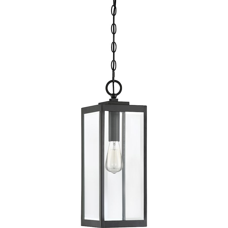 Westover 1 Light Mini Pendant, Clear Seeded