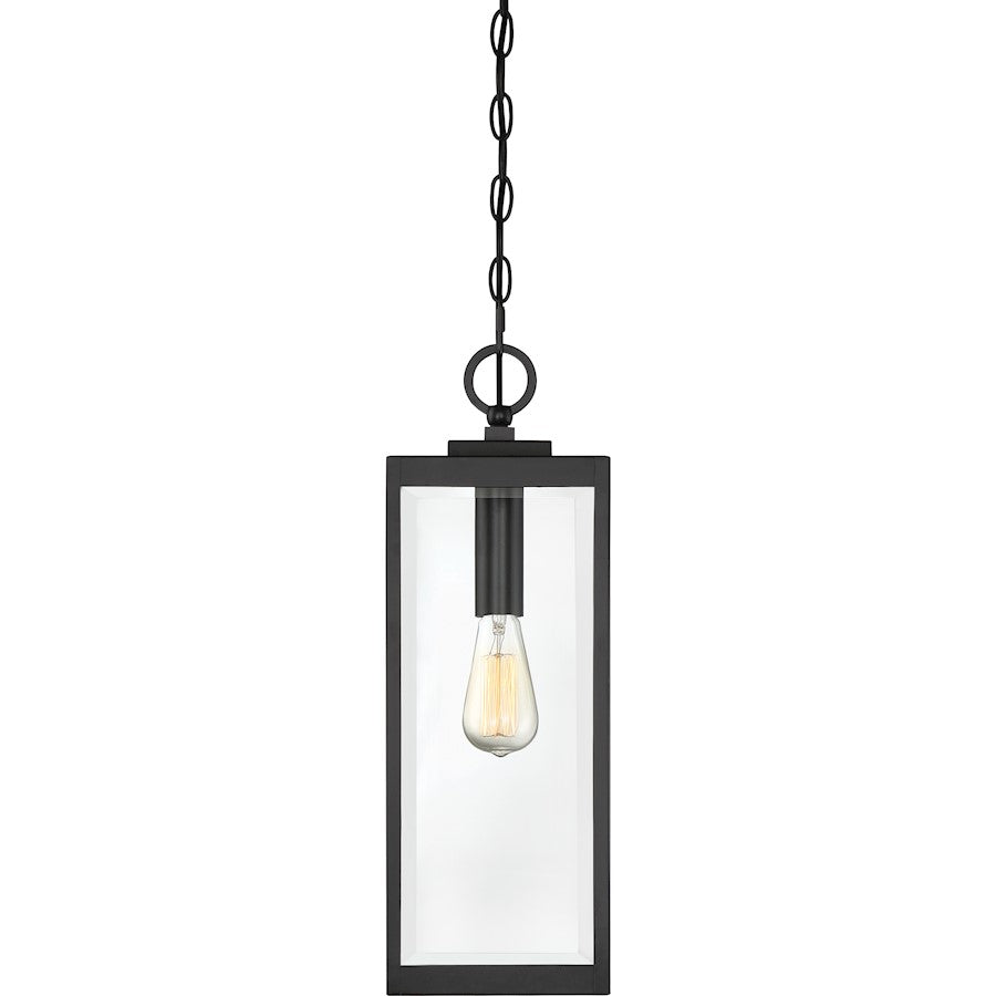 Westover 1 Light Mini Pendant, Clear Seeded