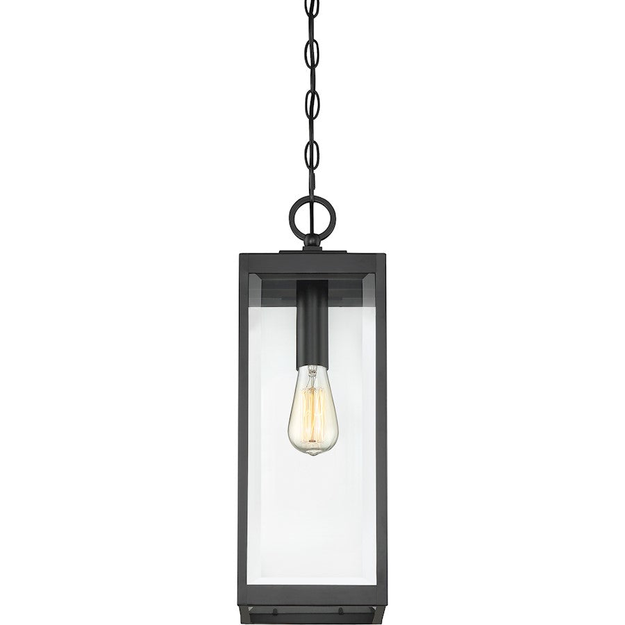 Westover 1 Light Mini Pendant, Clear Seeded