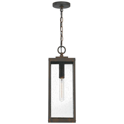 Westover 1 Light Mini Pendant, Clear Seeded