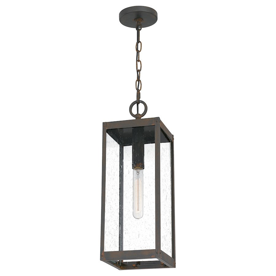 Westover 1 Light Mini Pendant, Clear Seeded