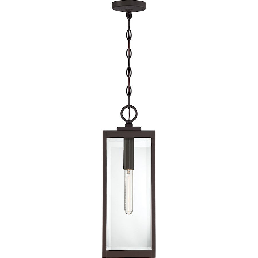 Westover 1 Light Mini Pendant, Clear Seeded