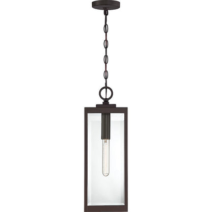 Westover 1 Light Mini Pendant, Clear Seeded