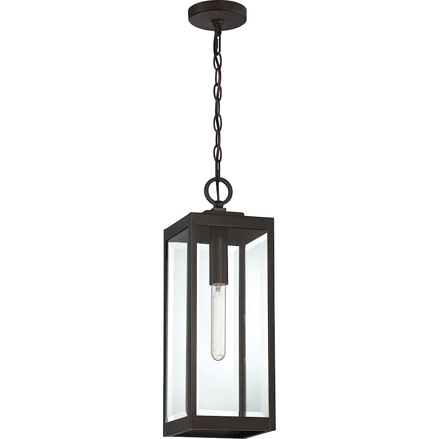 Westover 1 Light Mini Pendant, Clear Seeded